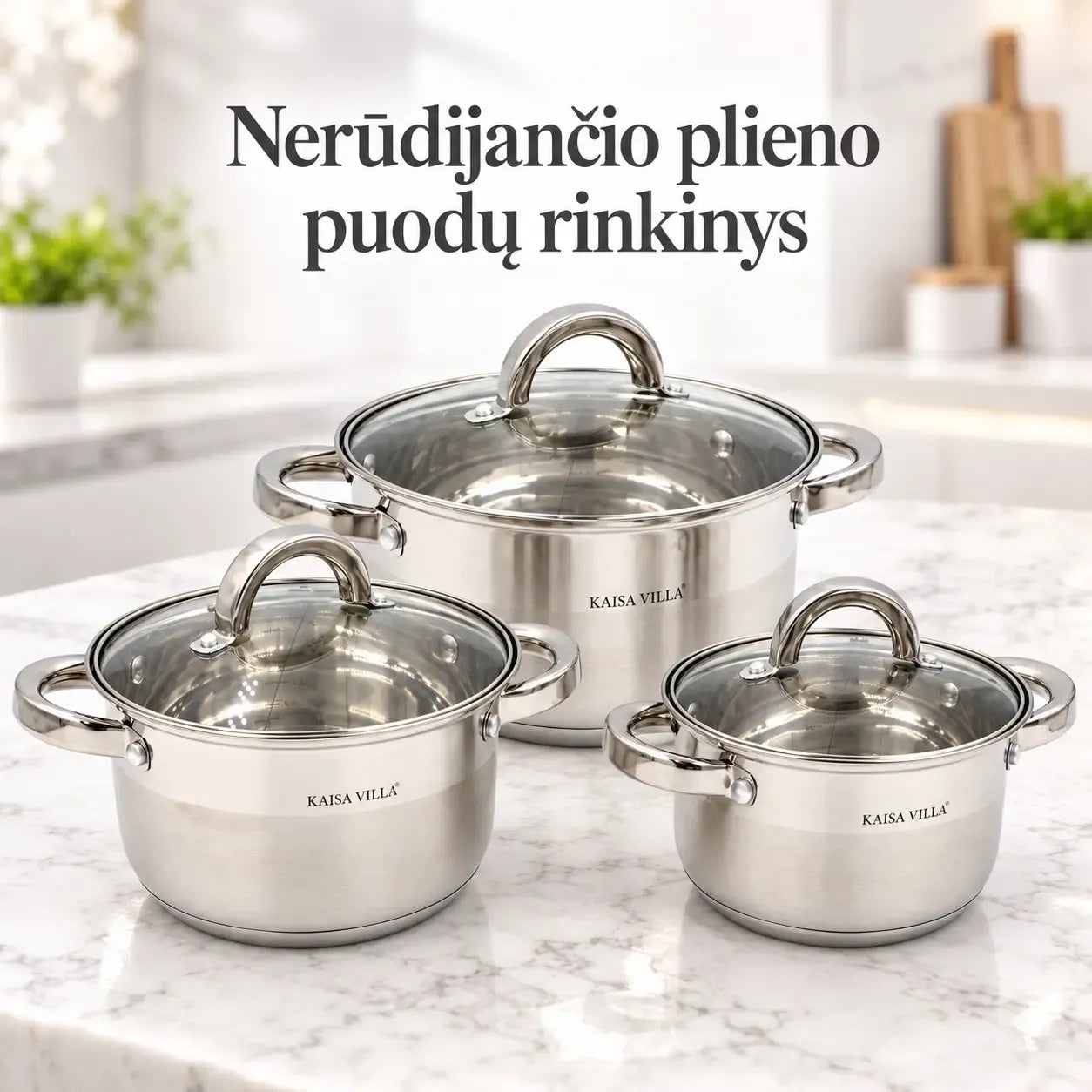 3 puodų rinkinys su dangčiais TR2295