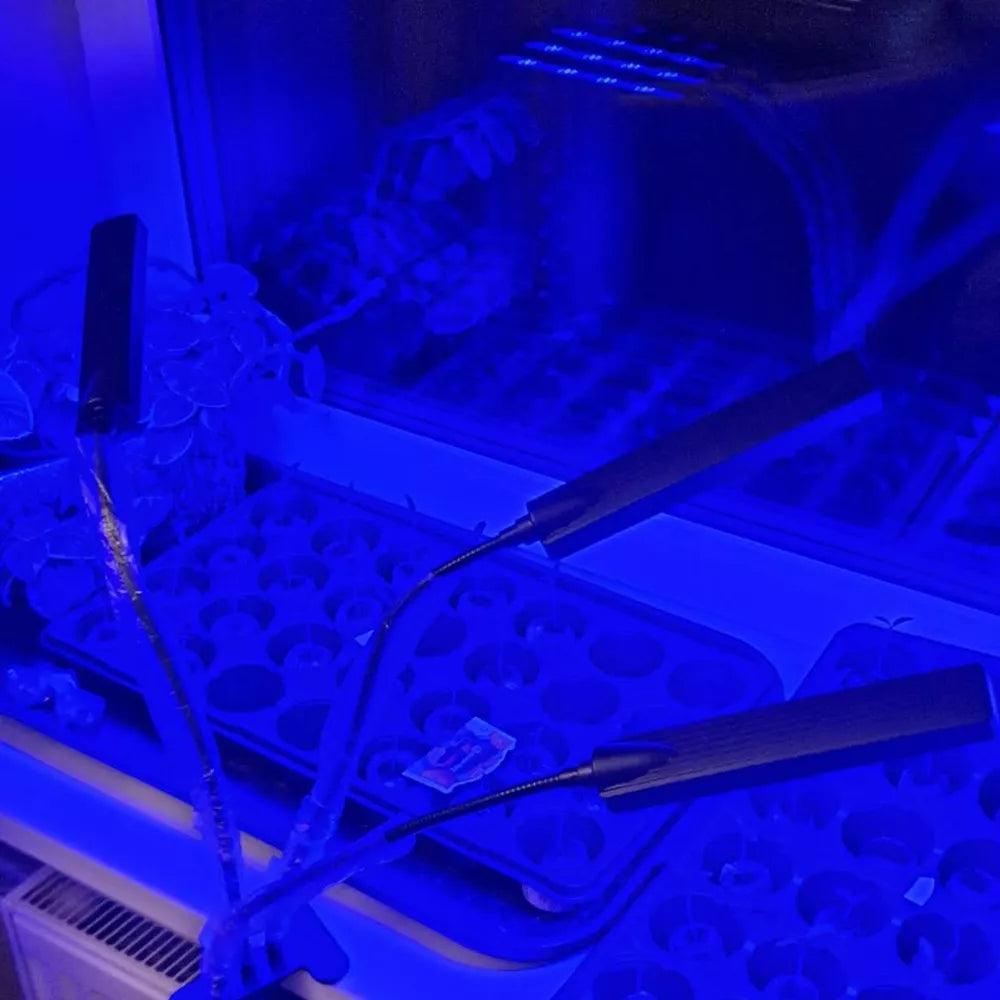 Augalų Auginimo Lempa 315LED