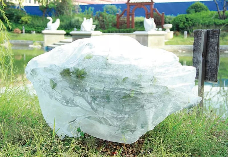 Balta agrotekstilė 1,6 x 10 m pavasaris