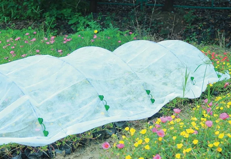 Balta agrotekstilė 1,6 x 10 m pavasaris