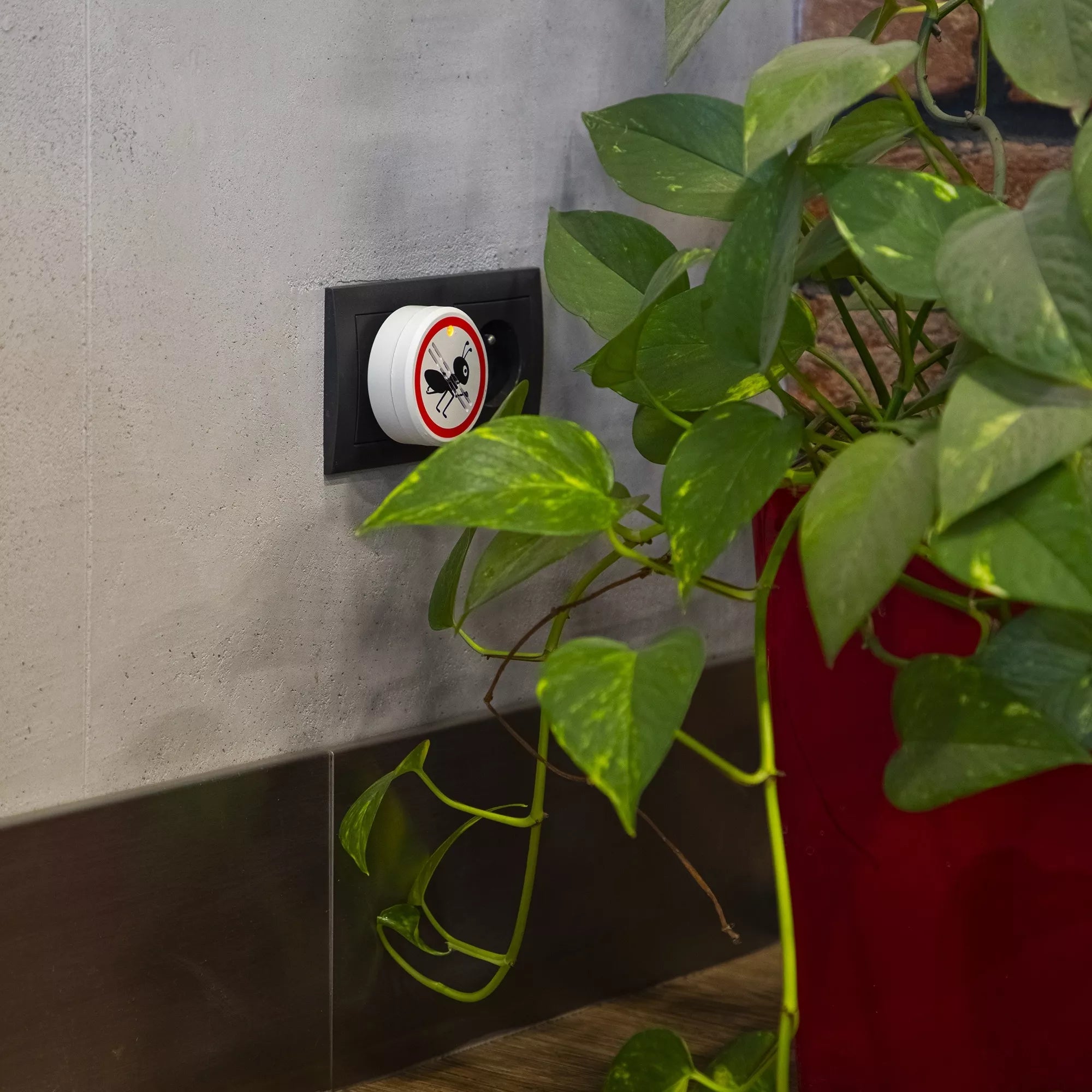 Elektrinis skruzdėlių atbaidymo prietaisas