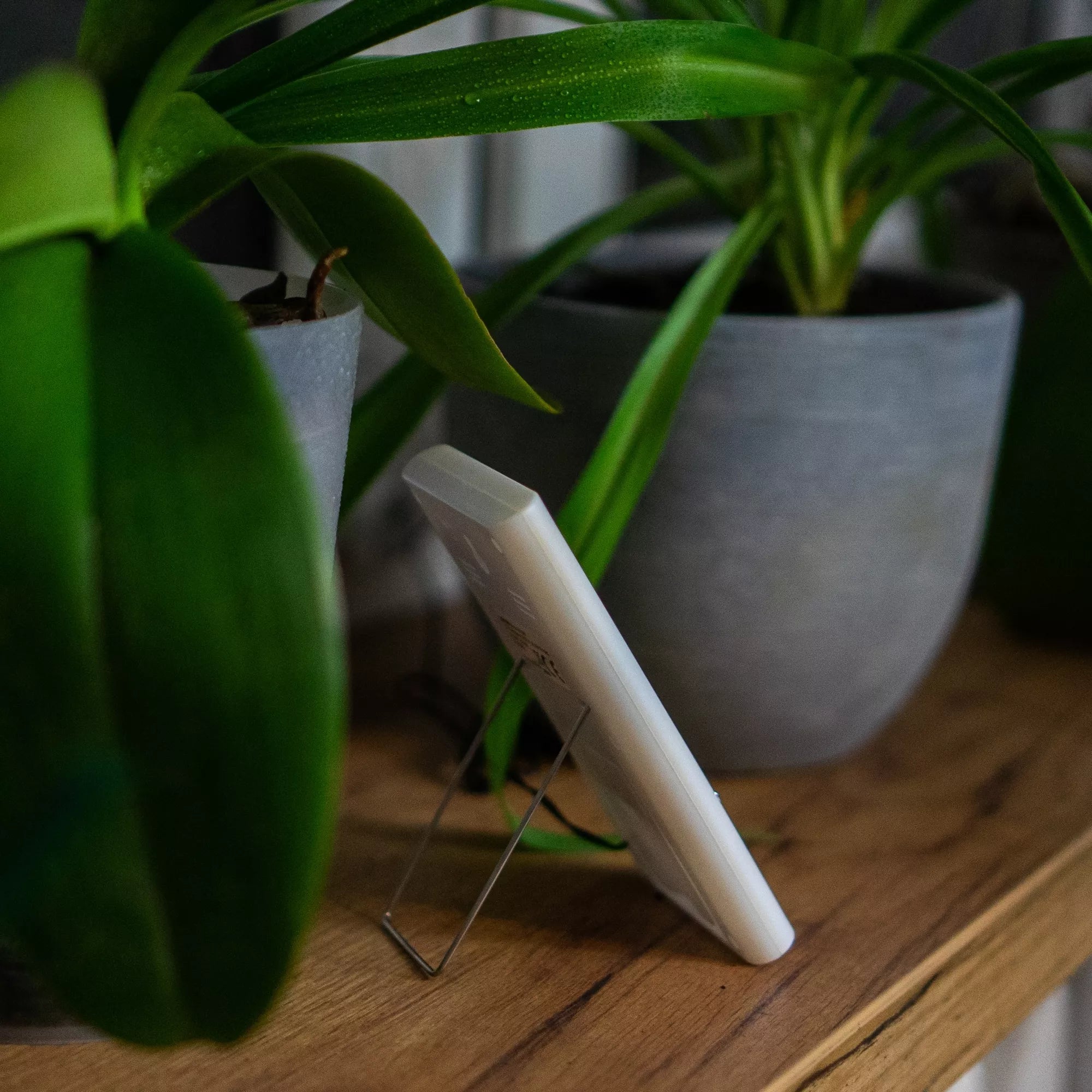 Elektrinis termometras