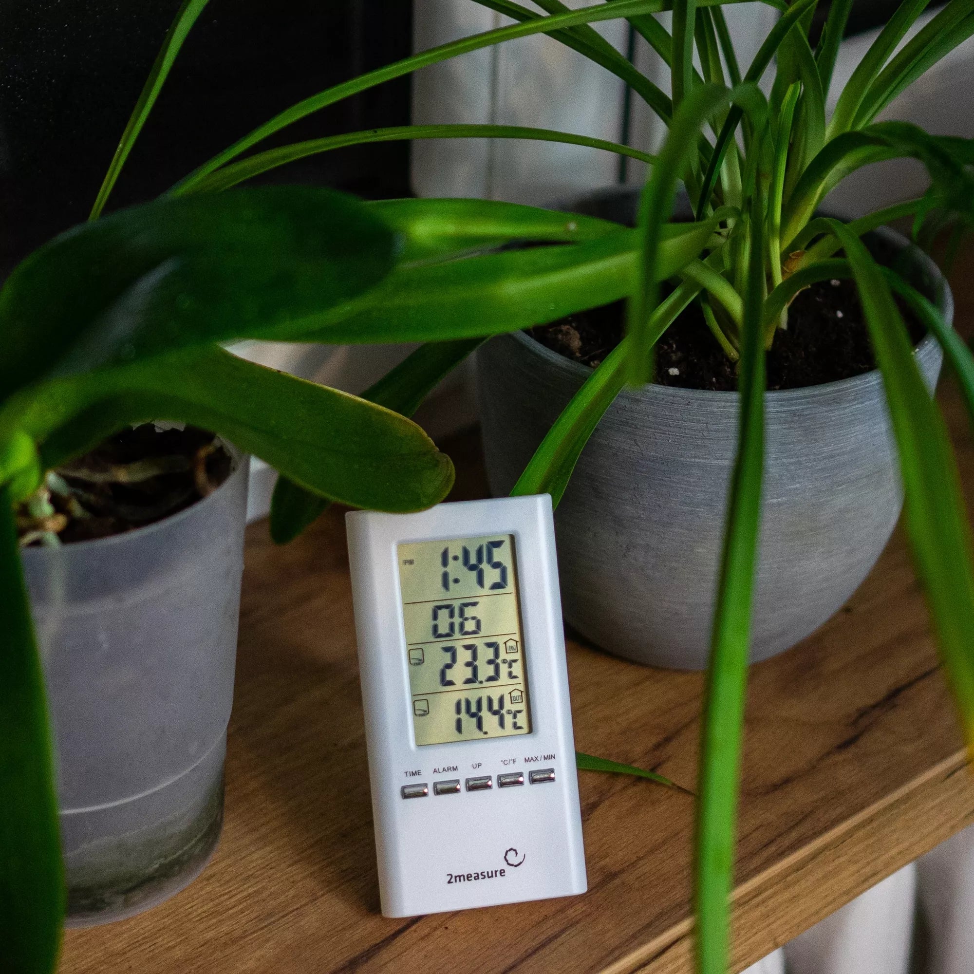 Elektrinis termometras