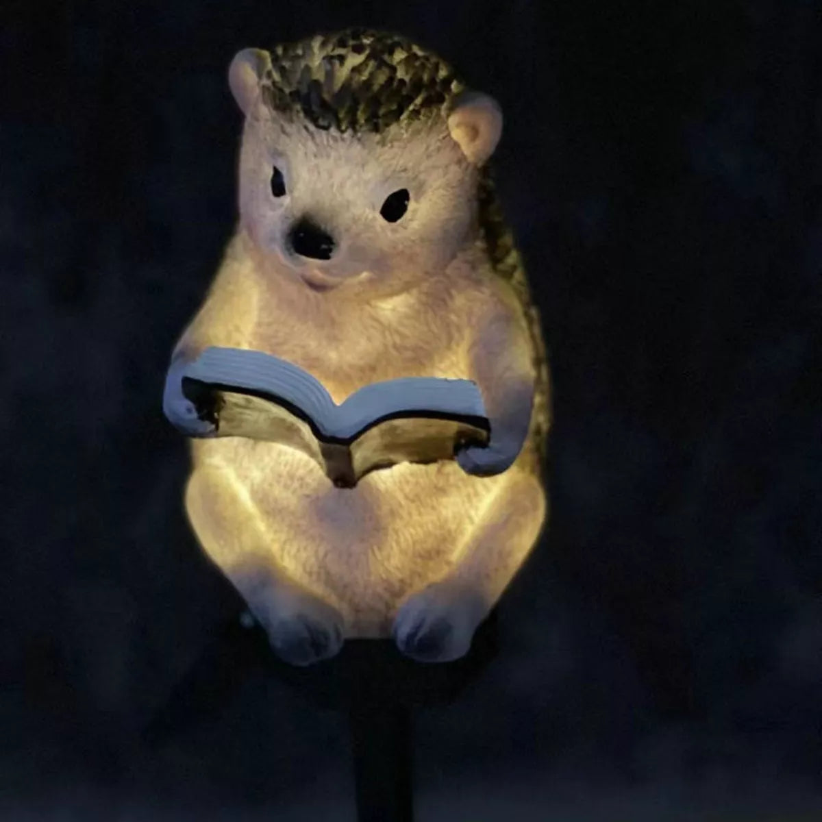 LED Sodo Lempa ežio Formos