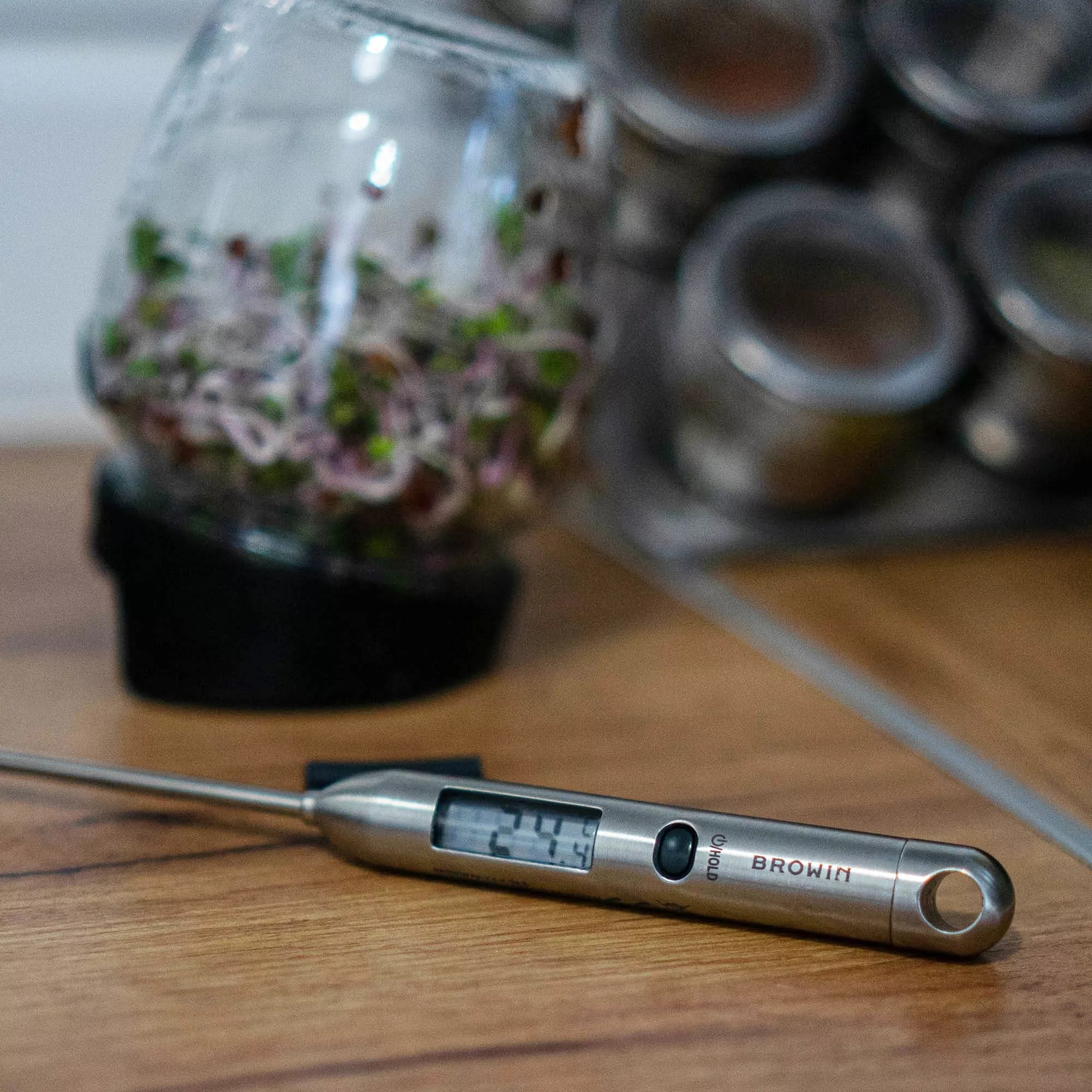 Plieninis maisto termometras (-40°C iki +300°C)