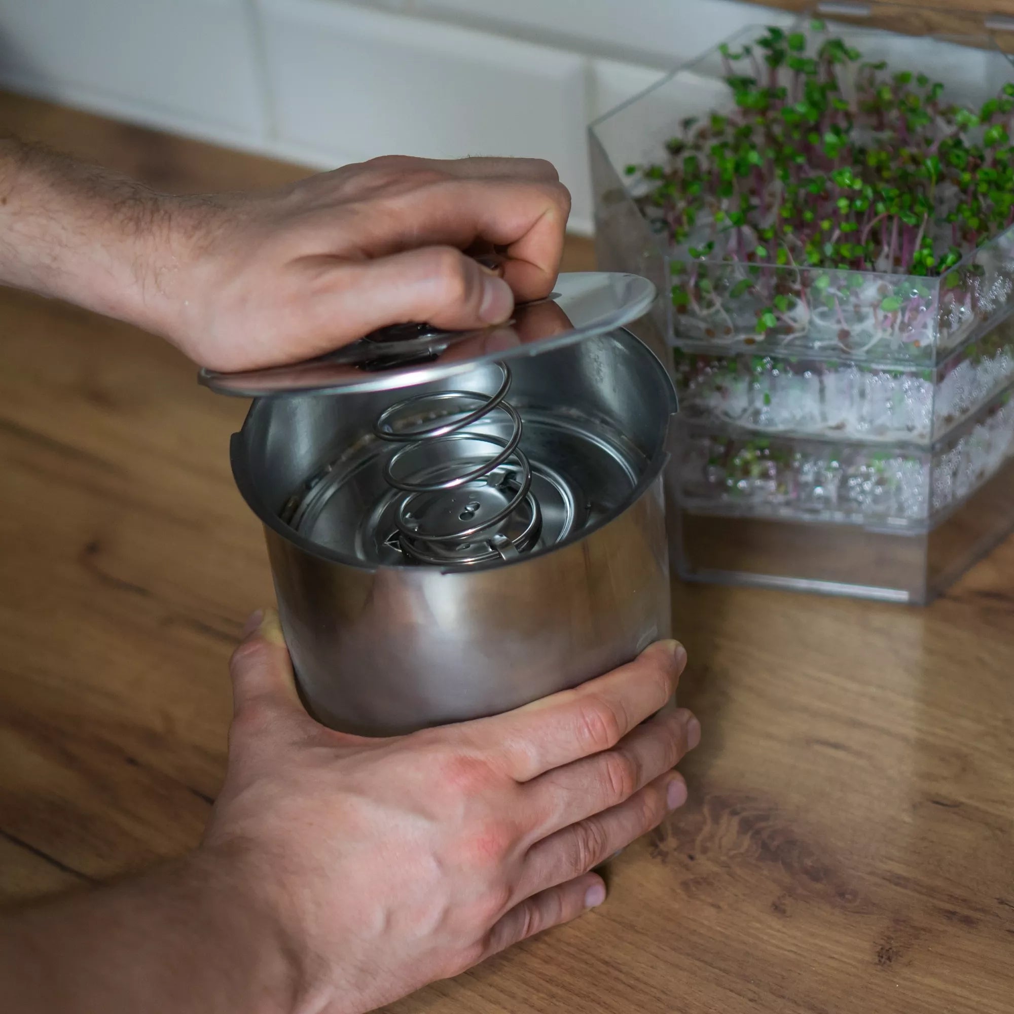 Slėginė kumpio viryklė 3 kg su termometru, maišeliais ir prieskoniais